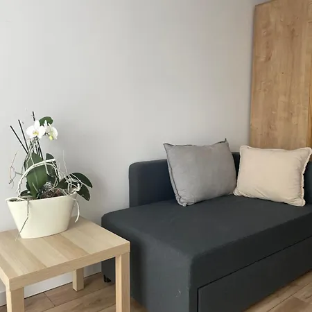 Bed & Breakfast Absynt 3*