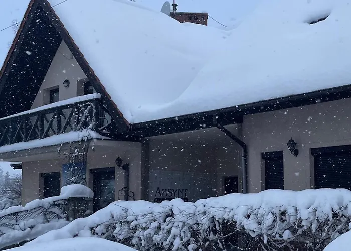 לינה וארוחת בוקר Absynt נובי טארג